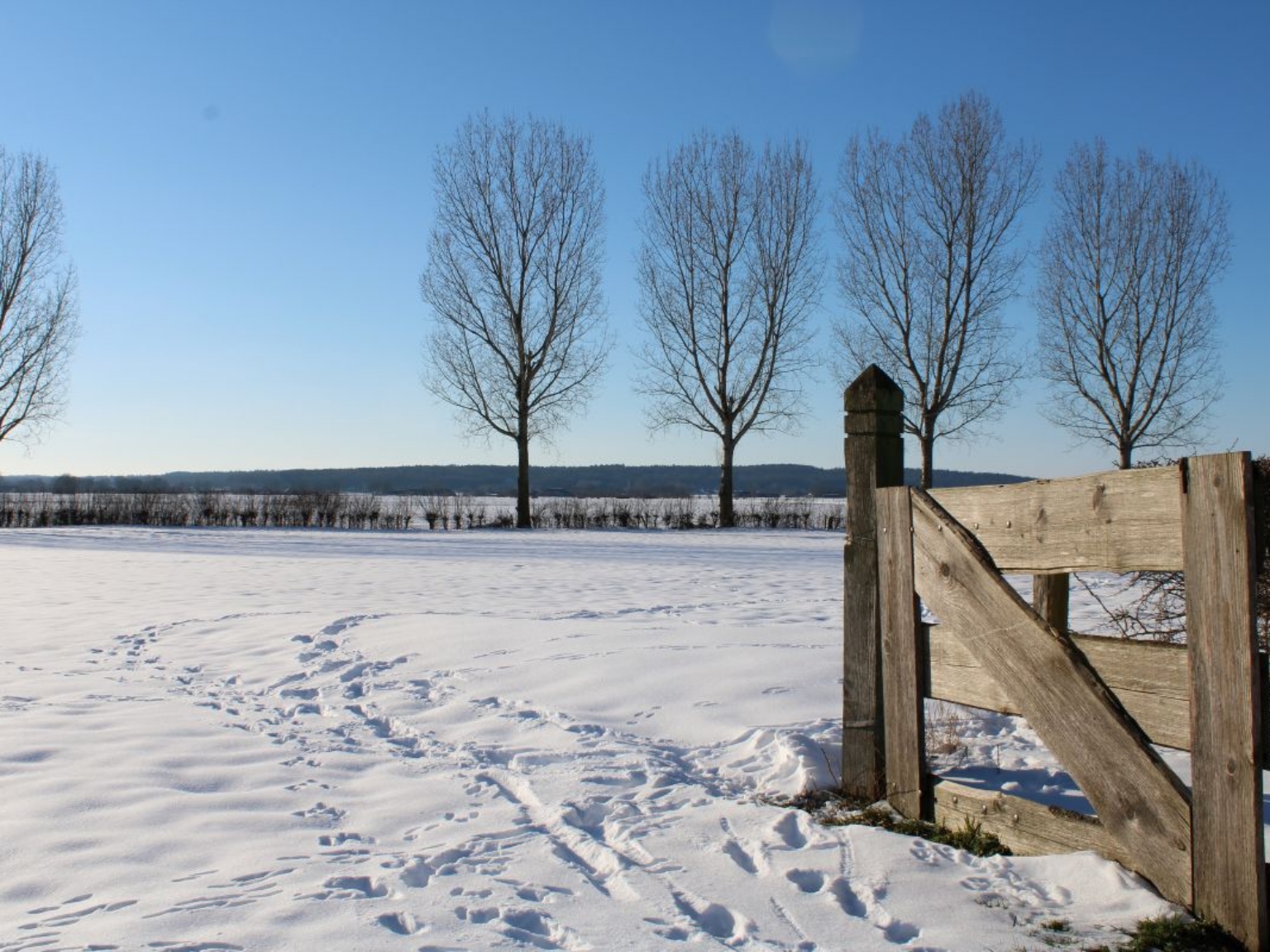 Buitengewoon winter